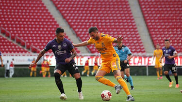 Tigres_200703_ Tigres_200703_